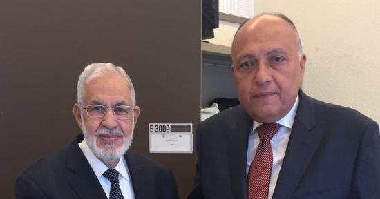 شكرى لنظيره الليبى: قلقون من مساعى أطراف خارجية إمداد المتطرفين بالسلاح