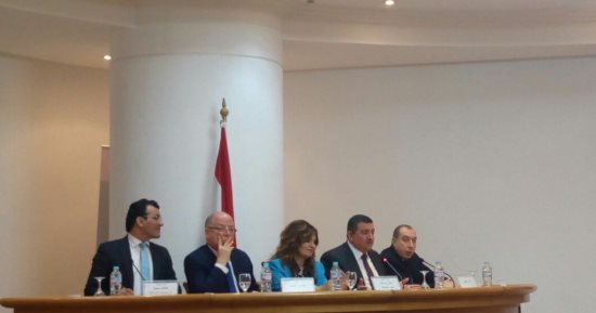 أسامة هيكل: القنوات الخاصة تهدف للربح وتأمين المصالح