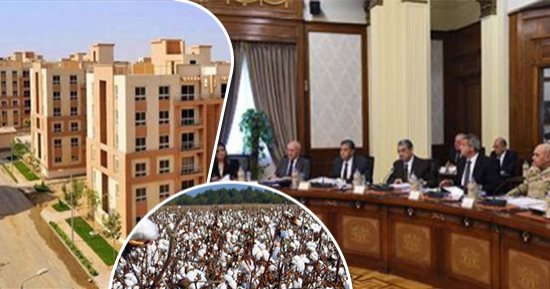 الحكومة تعلن أسعار الضمان لمحصول القطن بالموسم الجديد.. 2500 جنيه لقطن الوجه القبلى و2700 لـ"البحرى".. وتوافق على تعديل شروط وحدات الإسكان الاجتماعى.. ومد مهلة طلبات تقنين أوضاع المعتدين على أراضى الدولة 3 أشهر
