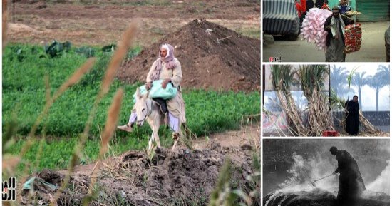 حكايات صور الشارع فى أسبوع.. عمال الفحم رجال يشقون طريق الكفاح.. بياع غزل البنات أحلى ذكريات.. الصيد غية وأكل عيش.. الفلاح المصرى بياكل عيش ويأكلنا خضار وفاكهة.. وبياعة القصب بتفكرنا بعيون الشقيانين على الطريق