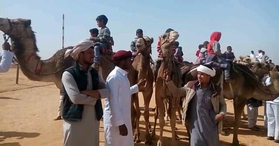 صور.. انطلاق فعاليات مهرجان الشرقية التاسع للهجن العربية
