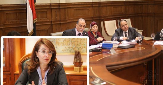 قانون الخدمة العامة يعود فى ثوب جديد بعد توجيهات السيسي.. مطالب بتطويره لأداه تؤهل الفتيات لسوق العمل وعدم الاكتفاء بالخدمات الاجتماعية فقط.. وخبراء: يستلزم تكاتف مؤسسات الدولة والمجتمع المدنى لضمان الجدية