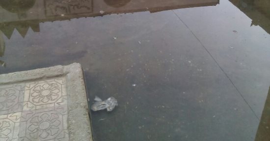 صور.. مياه الصرف الصحى تغرق مجمع التأمين الصحى بنجع حمادى