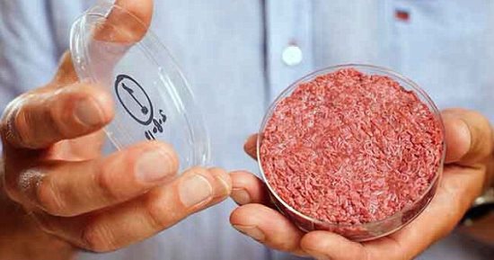 "ديلى ميل": تصنيع برجر من لحوم مستخرجة من الخلايا الجذعية الحيوانية نهاية العام