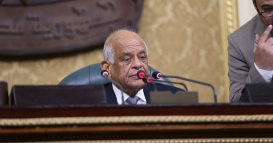 مجلس النواب يوجه رسالة تحية لسيدات مصر فى اليوم العالمى للمرأة