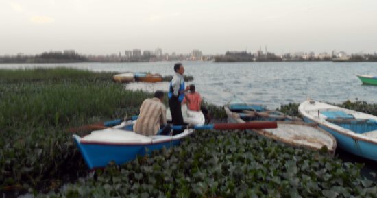 صور.. سموم الصرف الصحى تقتل بحيرة التمساح.. وانخفاض إنتاج السمك بسبب التلوث