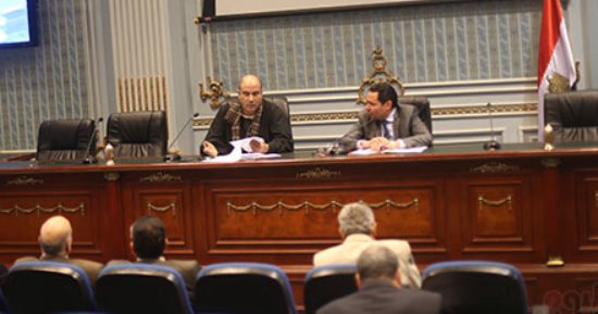 "زراعة البرلمان" تستعد لإنجاز مشروع قانون الرى فى دور الانعقاد الجارى