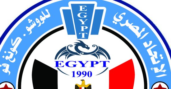اليوم.. انطلاق بطولة الجمهورية للكونغ فو تحت 13 سنة بالمقاولون