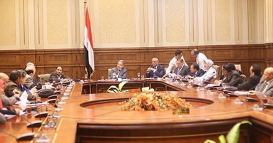 وكيل "محلية البرلمان": "القابضة للقمامة" الحل الأمثل للقضاء على الأزمة
