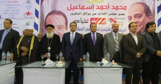 النائب محمد اسماعيل: فوز السيسي بالرئاسة يرعب أعداء مصر في الخارج والداخل