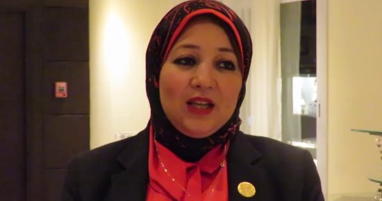  برلمانية تطالب بسرعة إصدار لائحة قانون "عربات الطعام" لمواجهة عشوائية الأسواق 