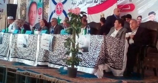 نائب حماة الوطن بالدقهلية : مصر مستهدفة و الغرض تقسيمها الى دويلات