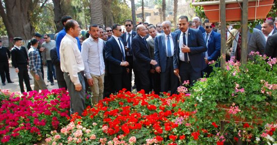 وزير الزراعة: تصدير طن واحد من الزهور يوفر 300 فرصة عمل مباشر وغير مباشرة