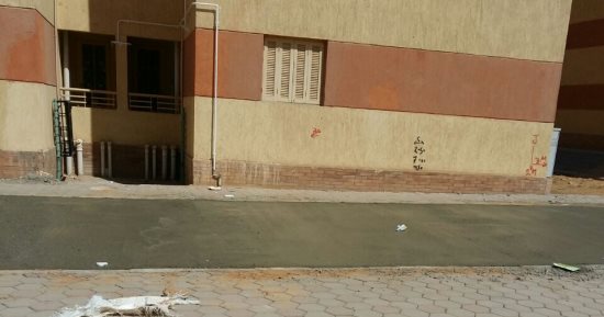 قارئ يشكو تغطية الأماكن المخصصة لزراعة الأشجار بالأسمنت فى مدينة بدر