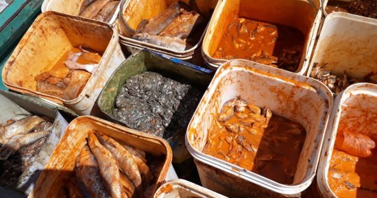 صور.. ضبط ربع طن ملوحة فاسدة فى سوهاج