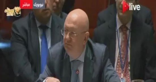 مندوب روسيا الدئم بمجلس الأمن: ضواحى دمشق لن تكون ملجأ للإرهابيين