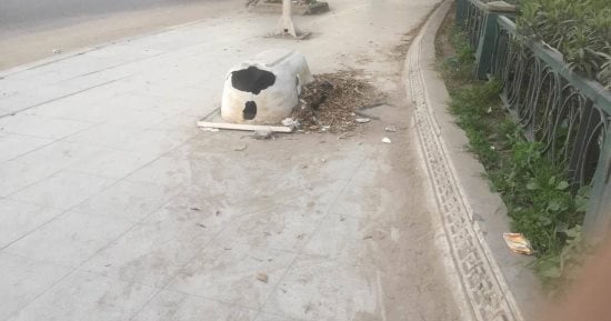 قارئ يشكو من بالوعة بدون غطاء بشارع أبو قير فى الإسكندرية