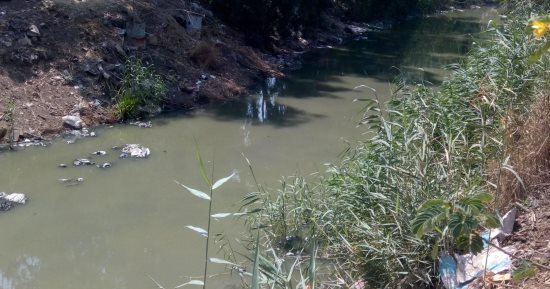 جهاز شئون البيئة بوسط الدلتا يشكل لجنة لمعاينة مصرف كفر فرسيس فى زفتى