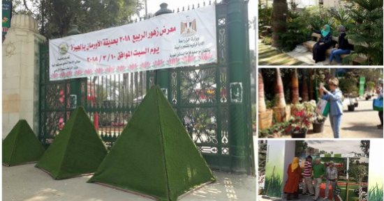 يا ورد مين يشتريك.. درية بتجهز بلكونتها كل سنة من معرض الزهور.. والسيلفى سيد الموقف