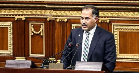 وكيل البرلمان: أشكر كل المصريين فى الخارج على دورهم الوطنى اليوم