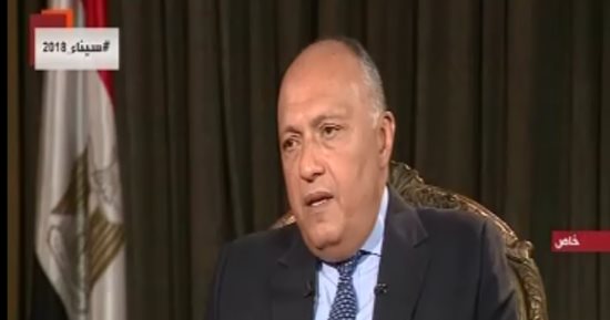 وفد مصرى يضم وزيرى الخارجية والموارد المائية والرى يغادر إلى إثيوبيا