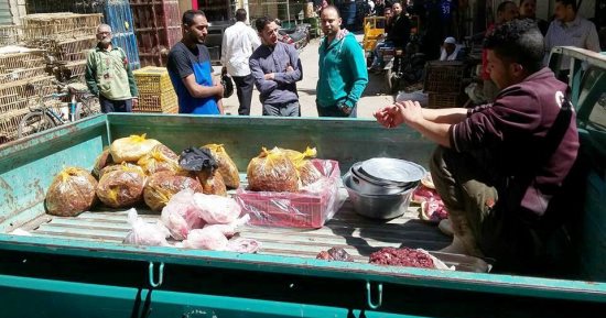 محافظ سوهاج : ضبط لحوم ودجاج غير صالحة للاستهلاك الادمى