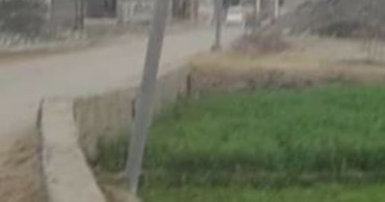 صور.. قارئ بالشرقية: أعمدة الإنارة آيلة للسقوط بقرية جهينة بفاقوس