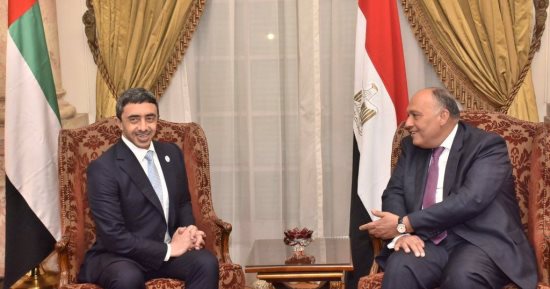 وزير الخارجية: التدخلات التركية والإيرانية تعقد المشهد الداخلى السورى