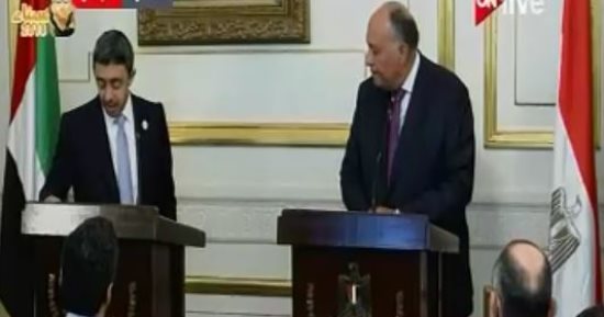 وزير خارجية الإمارات: ندفع بكل ثقلنا لإنجاح المصالحة الفلسطينية برعاية مصر