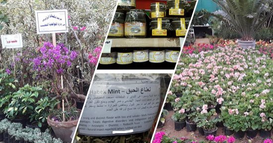 وزير الزراعة: مصر نجحت فى تصدير 5.2 مليون طن من المنتجات الزراعية رغم كورونا