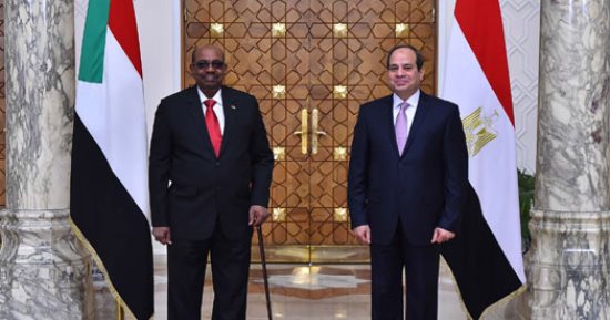 السيسي: زيارة الرئيس عمر البشير لمصر تعكس الروح الإيجابية بين البلدين (صور)