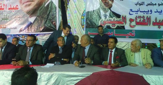 طاهر أبو زيد بأسوان: الرئيس قضى على الفوضى وحمى مصر من التقسيم