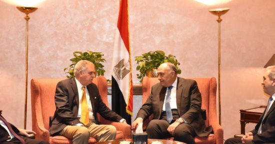 سامح شكرى: استمرار الاحتلال الإسرائيلى هو أصل مآسى الشعب الفلسطينى