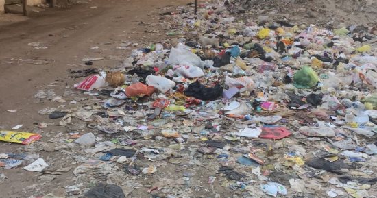 صور.. انتشار القمامة بشارع الزهراء فى بنها الجديدة بالقليوبية