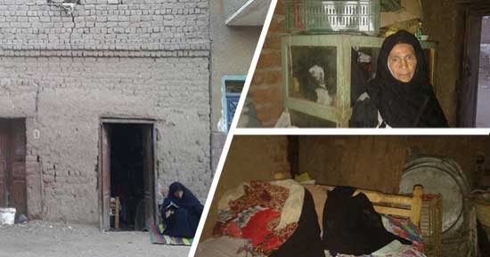 صور.. سيدة عجوز تعيش وحيدة وسط العقارب والحشرات والثعابين.. رضا: "عايشة فى غرفة من الجريد والبوص ونفسى فى سقف يحمينى من مطر الشتاء وحر الصيف".. عجوز سوهاج: "أنا مريضة ومديونة وبنام فى الضلمة من غير عشا ولا غطا"