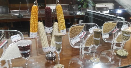 الحكومة تبدأ ترشيد استهلاك المياه بتوفير 3.9 مليار متر مكعب من 5 محاصيل