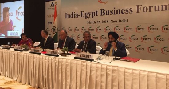شكرى يطرح الفرص الاستثمارية بمصر أمام منتدى الأعمال الهندى-المصرى