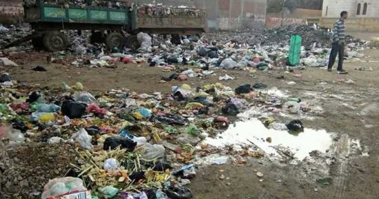 شكوى من انتشار القمامة والكلاب الضالة بقرية نجع عبد الرءوف بالعامرية
