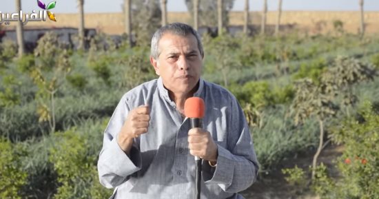 القبض على توفيق عكاشة لتنفيذ حكم حبسه بقضية تزوير شهادة الدكتوراه