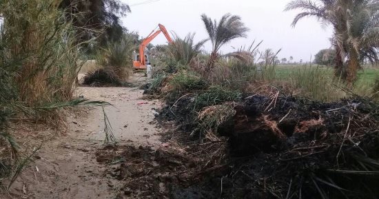 صور.. أهالى "عرب قصر هور" بالمنيا يشكون من إلقاء المخلفات بالطريق الرئيسى