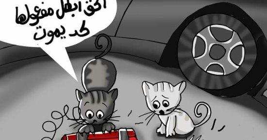 حال الدنيا.. قطط وعبوة ناسفة.. رحمة الحيوانات لا يعرفها الإرهابيون