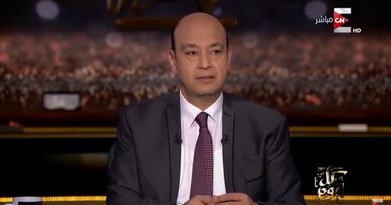 أديب مهاجمًا "السترات الصفراء": أنا فلول فرنسا.. والشانزلزيه تحول لميدان التحرير
