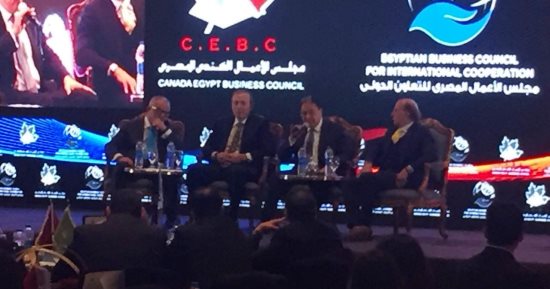 وزير الصحة: مصر تنتج أدوية الأورام خلال عام