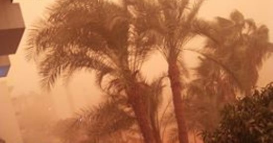 صور.. عواصف رملية تضرب محافظة أسيوط