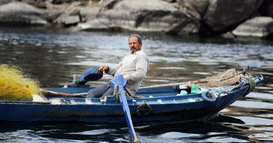 صورة اليوم.. صبرك حبة يا خال رزق الغيب ده حلال مش عايز شيال ولا محتاج خيال