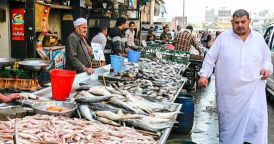 اضبط مخالفة.. أهالى دمياط يشكون افتراش بائعى الأسماك شارع القنطرة "صور"