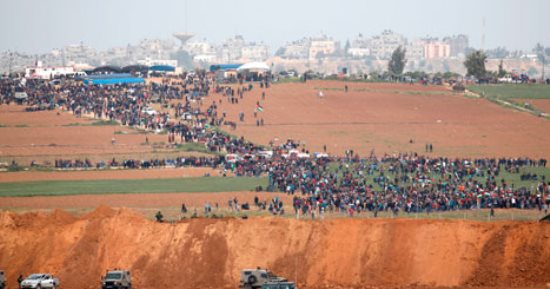 سناء سراج تكتب: سارق أحلامى.. خواطر فلسطينى