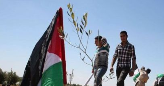 وزير خارجية موريتانيا يدعو لإقرار آلية دولية فعالة لحماية شعب فلسطين