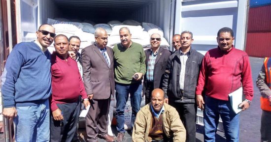 جمارك الإسكندرية تضبط واقعة تزوير واصطناع مستندات لتهريب أرز مصرى
