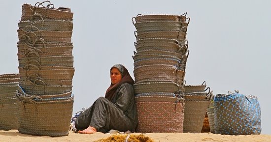 صورة اليوم.. مهما الأمل غاب العيون شايفاه